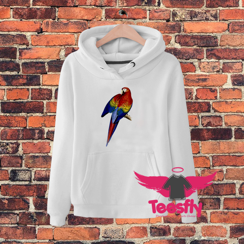 Maaw Parrot Hoodie