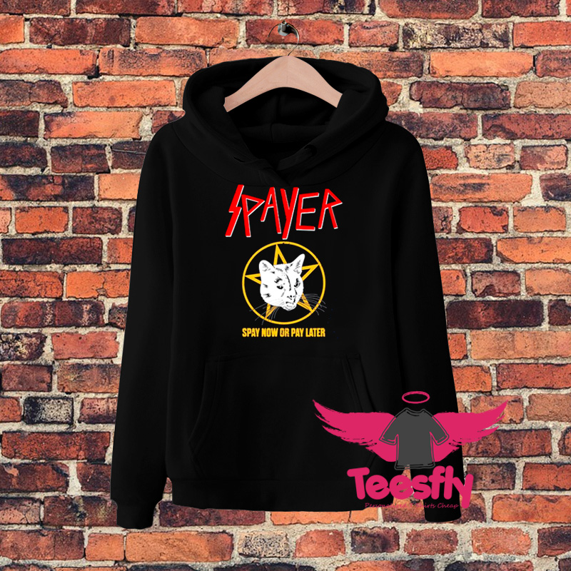 Rock Spayer Cat Kitten Pun Mom Dad Hoodie